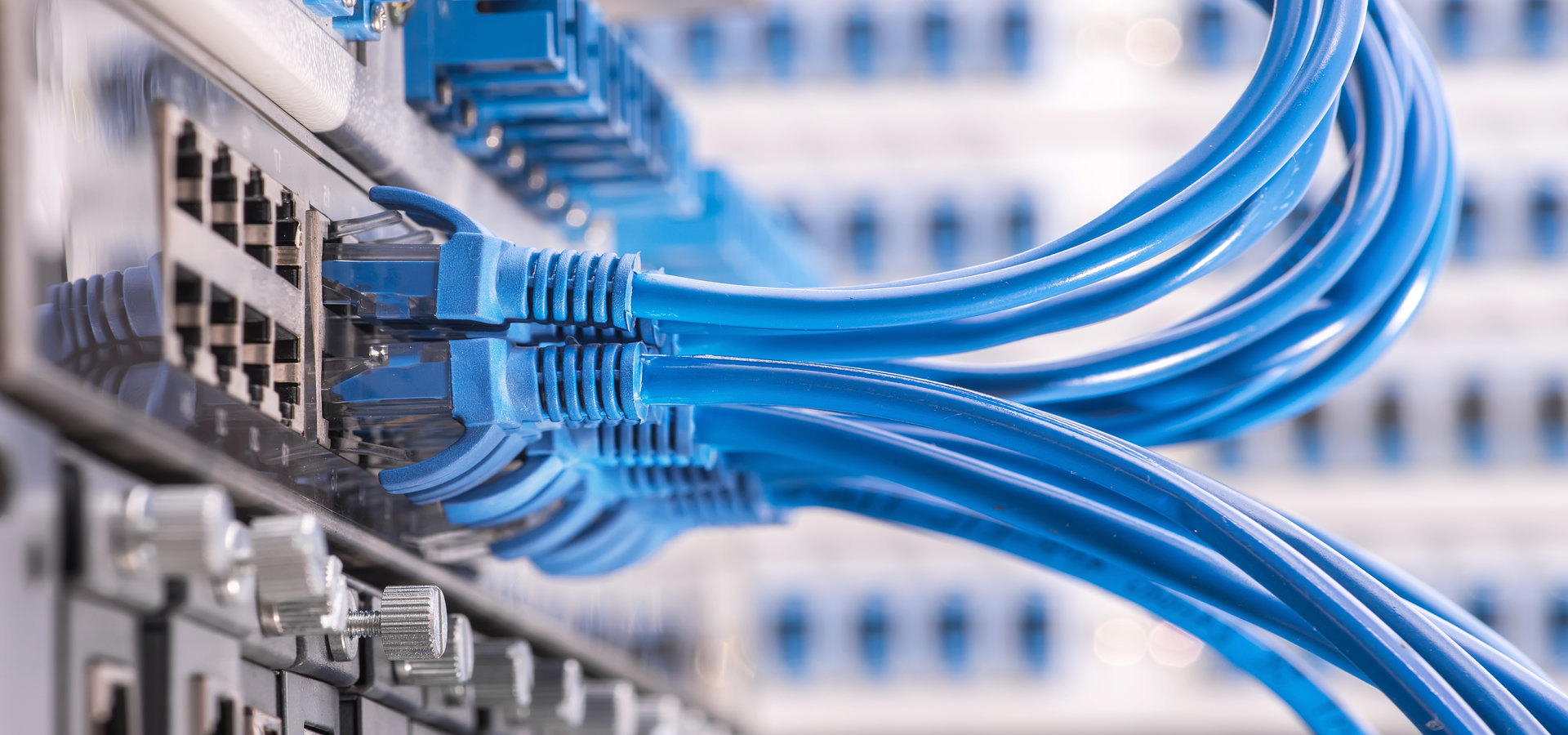 Network switches, routers, cabling, a closeup. A communications and/or IT themed stock photo.